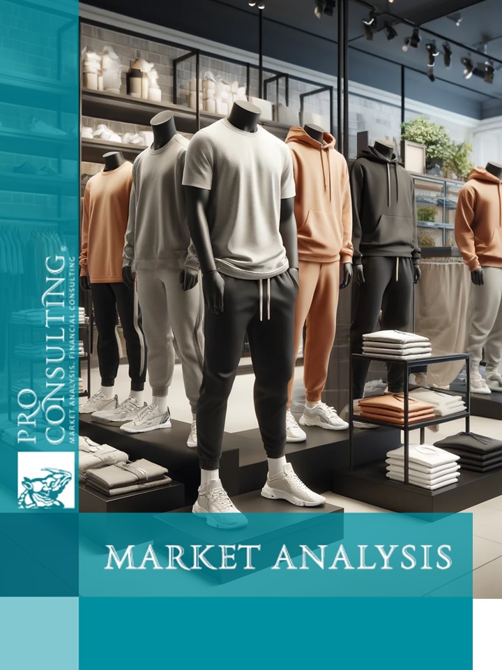 Research of the clothing market in the Performance/Lifestyle segment in Kazakhstan. 2024 year